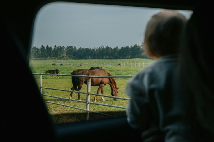 Roadtrip Avec Bebe