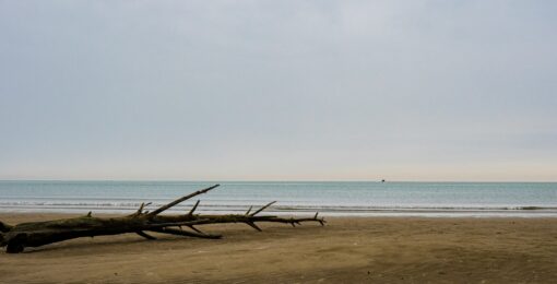 Paysage Plage Nord France