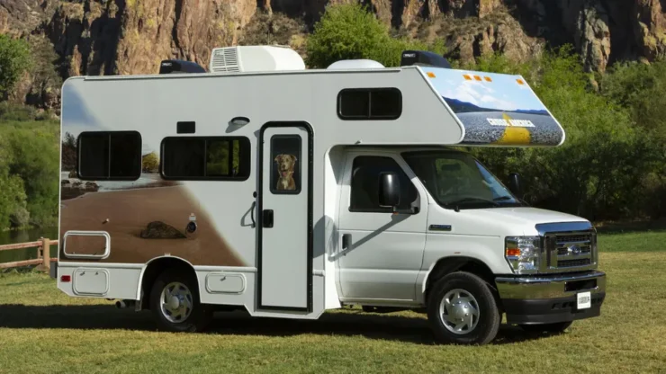 Chien Dans Un Camping Car