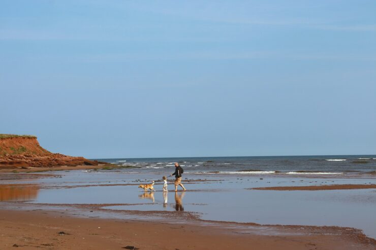 Vacances En Famille Au Bord De La Mer Avec Un Chien