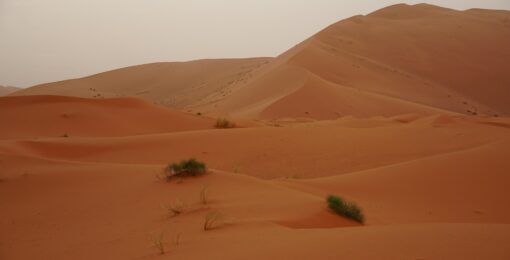 Désert De Merzouga