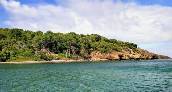 Plage Martinique